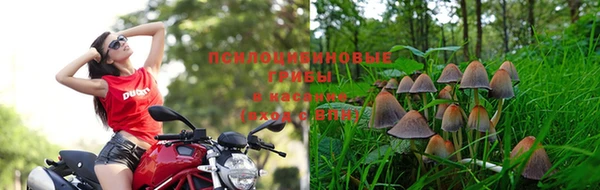прущая мука Абдулино