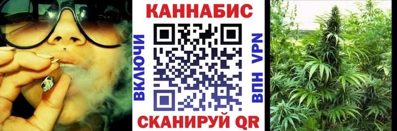 Канабис семена  блэк спрут вход  Шилка  где можно купить наркотик 